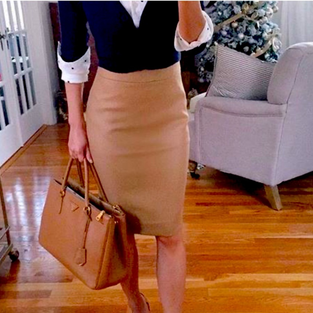 J Crew Skirt